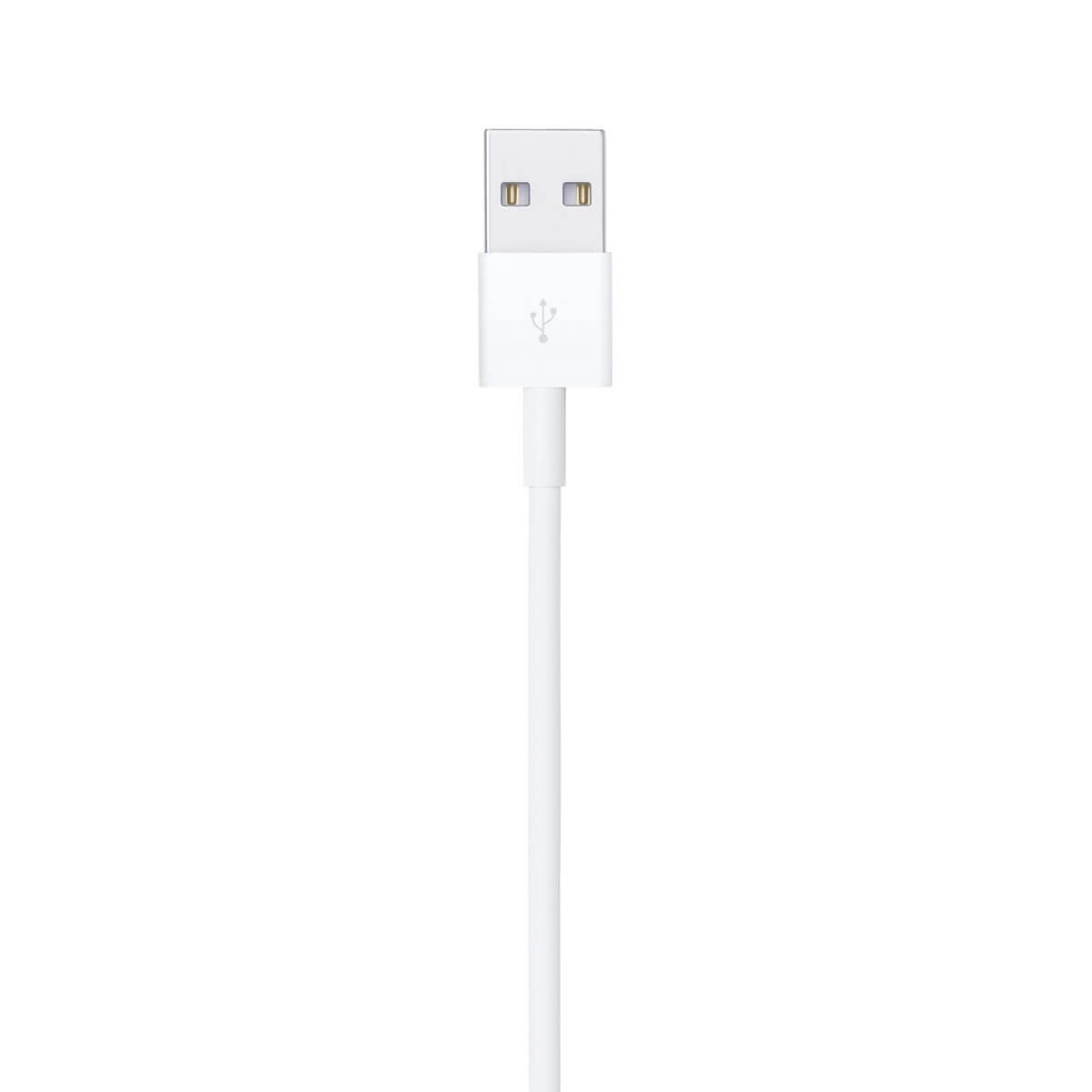 Apple Lightning to USB Cable 1M